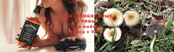 марки nbome Богданович